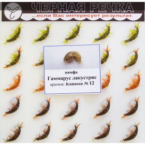 Нимфа Гаммарус лакустрис кр Kamasan №12