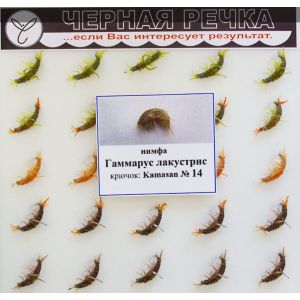 Нимфа Гаммарус лакустрис кр Kamasan №16