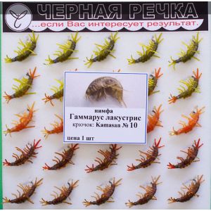 Нимфа Гаммарус лакустрис кр Kamasan №10