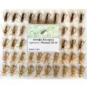 Нимфа Казарка на двойнике кр Mustad №14